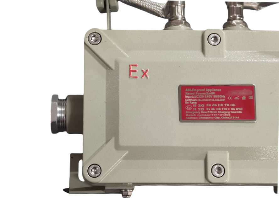 Zone 1 Flameproof Emergency Light 2*5Watt For Marine Applications