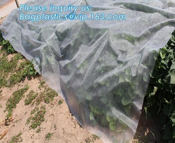Pla Spunbond Nonwoven for Agricultue cover,Nonwoven Fabric, customized agriculture greenhouse ground weed barrier pp spu