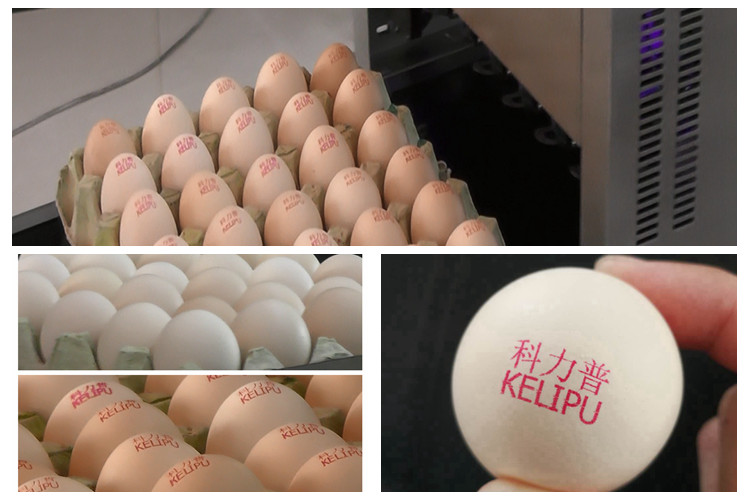 Egg Continuous Inkjet Printer for Date / Serial No / Batch code / Logo