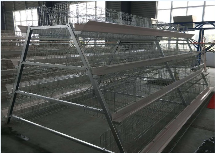 Chicken Poultry Farm Water System Water Nipples Feeder Line ISO9001 Certification