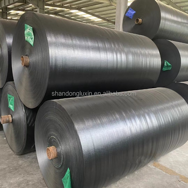 Customized Coated PE Tarpaulin Sheet for Industry Outdoor Tents Awning Roof Covering