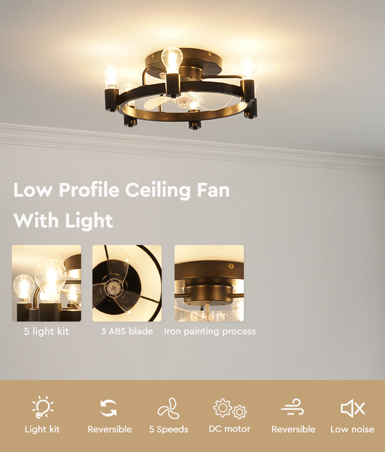 ceiling fan with light