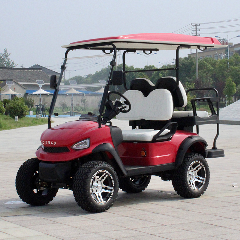 48V5KW AC Motor Lifted Golf Cart Back to Back 4 Seater with Strong Power and Standing Postion of Tail Caddie Unequipped