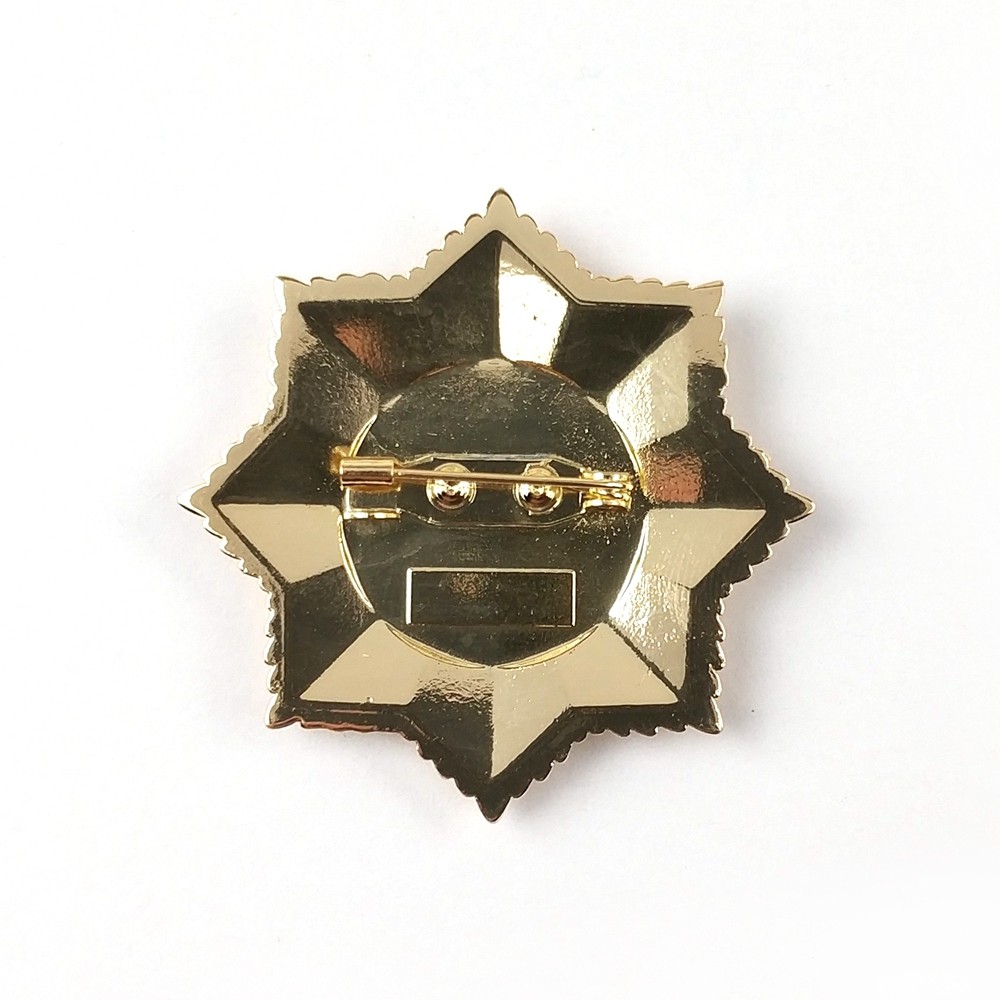 3D Enamelled Gold Finish Pin Badge With Safety Pin Backing 1.15 Inches Perfect For Tournaments And Special Occasions