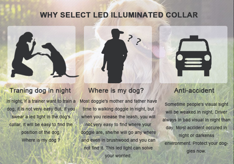 Rechargeable Sport LED Dog Harness Soft With Battery Flashlight