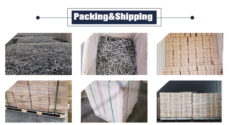 Flat Head Galvanized Common Iron Wire Nails Hardened Steel Concrete Nails