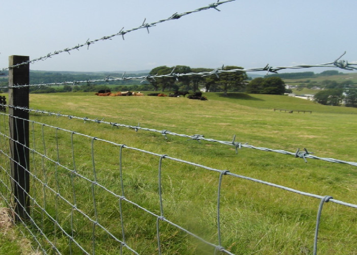 High Carbon Steel Barbed Wire Rustproof Long Term Perimeter Protection