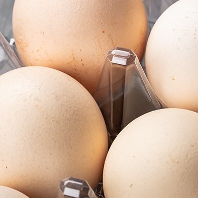 Transparent Plastic Egg Packaging 30 Holes Large Disposable Bulk Plastic Egg Cartons