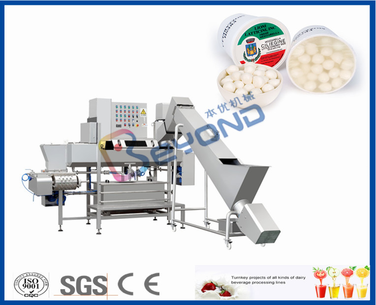 SUS 316L Cheese Making Equipment For Automatic Food Processing