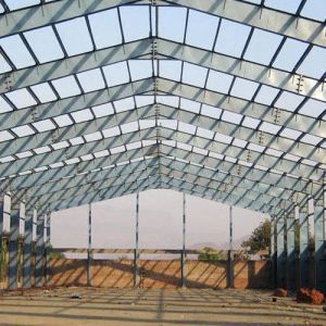 Customized Color Steel Structure Shed Construction Graphic Design For Poultry