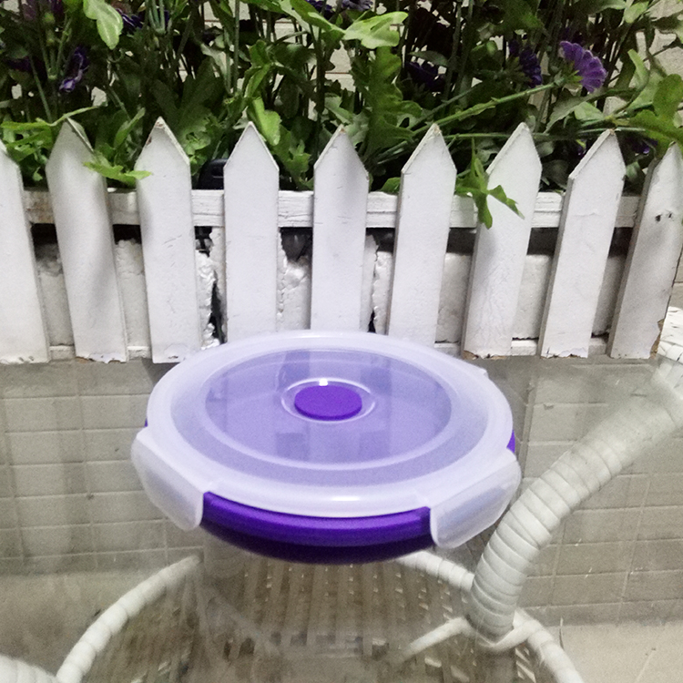 2019 New Custom FDA & LFGB Food Grade Portable Silicone 4 Size Food Storage School Work Microwave and Freezer Safe Lunch Box