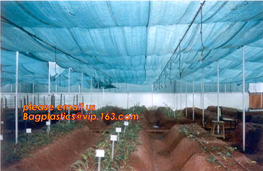 100% new HDPE insect mesh / anti bird net for apple trees,greenhouse anti insect net for plant, agriculture net Anti-ins