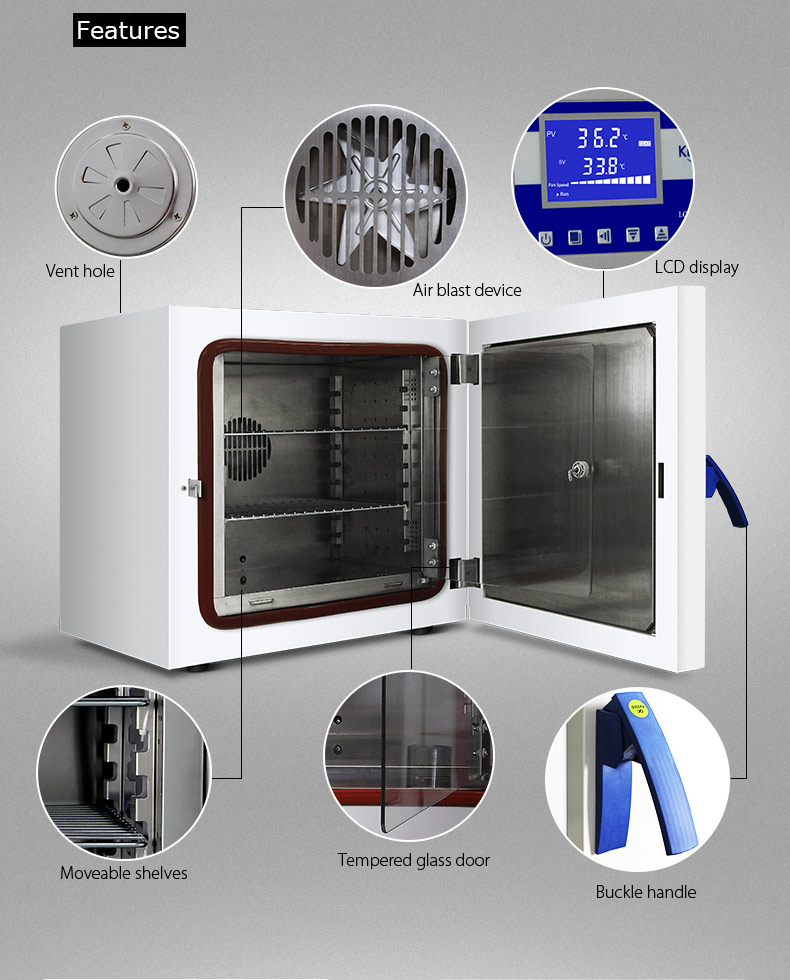 High Precision Bacteriological Incubator SUS304 Inner Laboratory Incubator