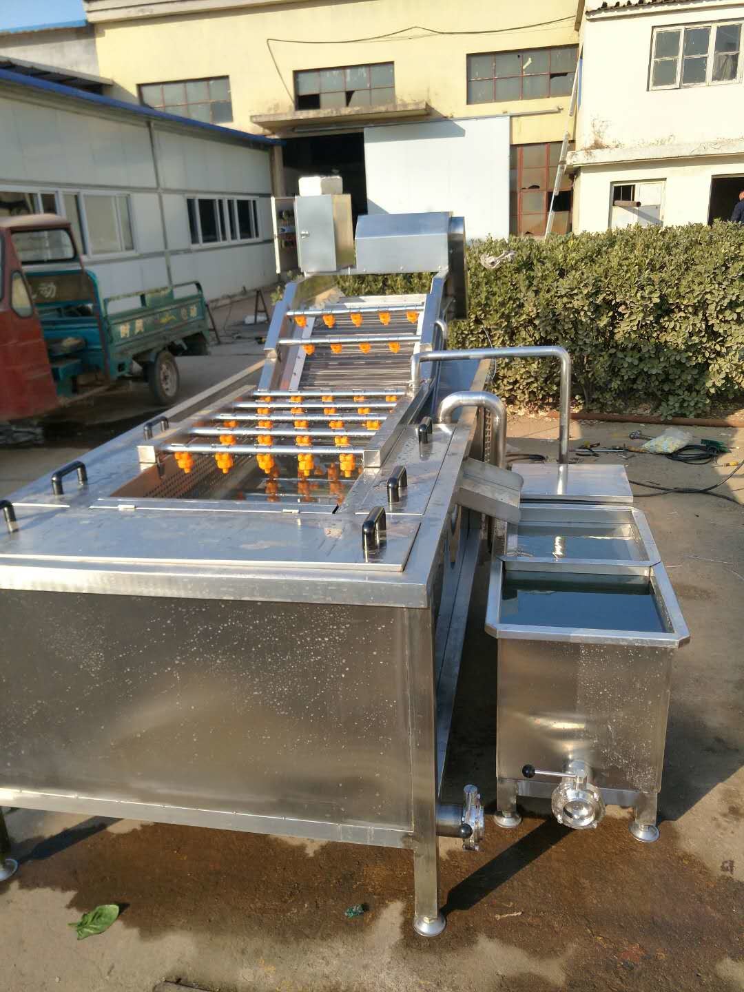 Full Automatic Bubble Food Cleaning Machine For Fruit And Vegetable Washing