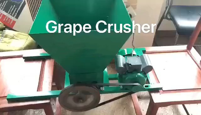 CE certificate manual or electric grape crusher/grape skin peel mchinery