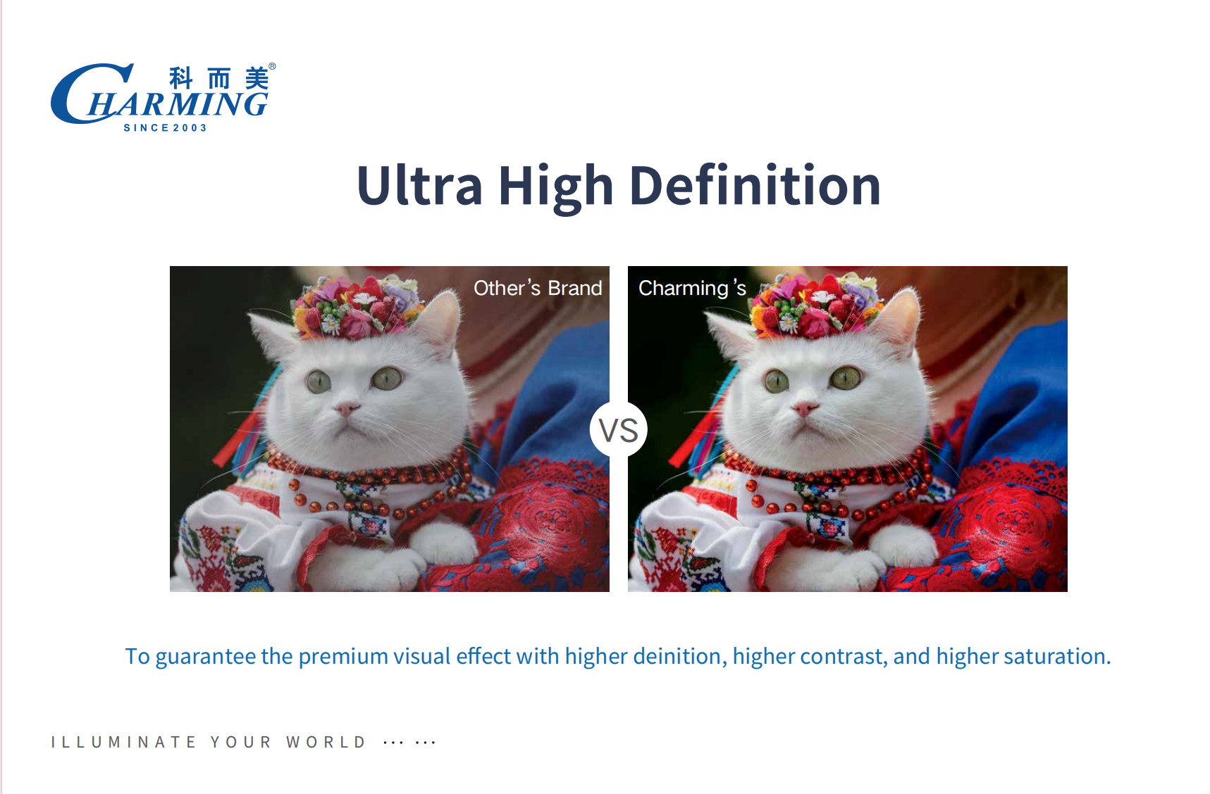 High Performance Product LED Screen Display Outdoor Rental Display Adveresting Display SMD1921 500*1000MM