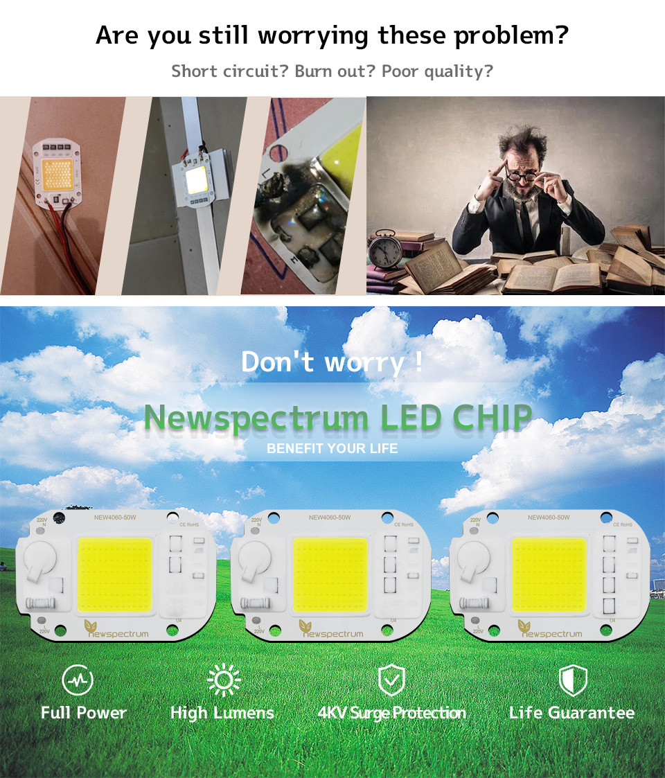 Thermal Resistance 50w Cob Led Chip 50HZ For Spotlight Floodlight