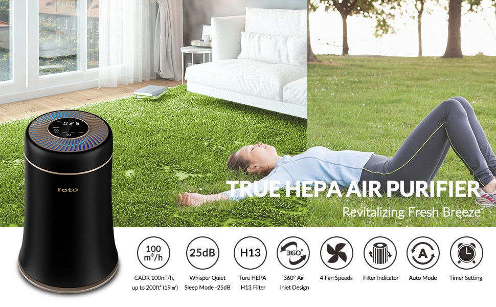 H13 True HEPA Filter PM2.5 Air Filter 24dB Low Noise For Home Allergies Pets Hair