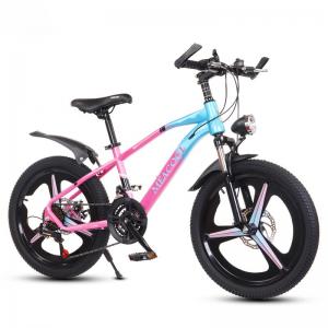 China Multicolored 20in Lightweight Mountain Bike For Children'S Outdoor Adventures on sale
