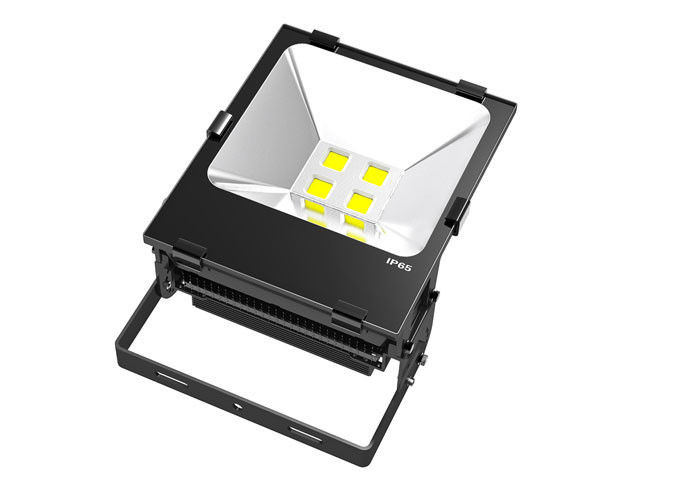 120LM/W Outdoor LED Flood Lights Bridgelux Chip COB 5 Years Warranty UL