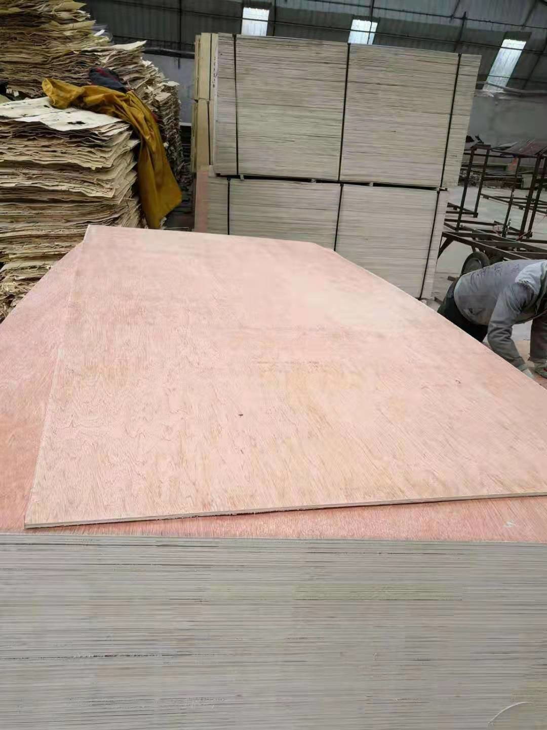 Alkaline Resistant WBP 22mm Hardwood Veneer Plywood