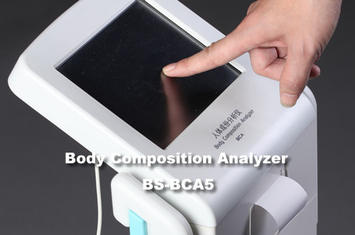 Body Fat Percentage Measurement Device