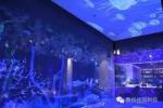 Window Glass Holographic Projection Film Self Adhesive Clear In All sizes Make