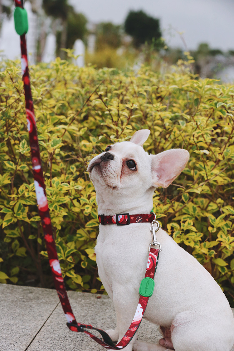 Sublimation Christmas Santa Claus Dog Collar And Leash Set Puppy Training Collar