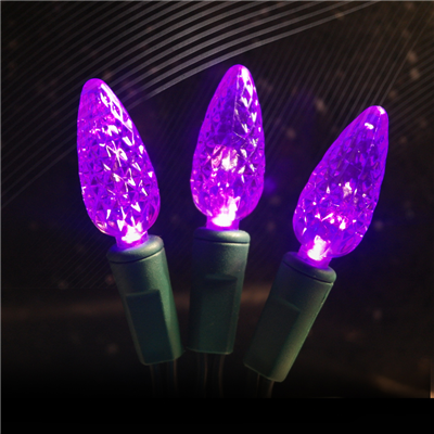 C6 Strawberry Festival decoration LED Christmas light