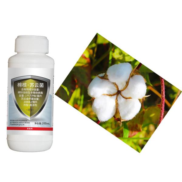 Cotton Boll Worm Organic Pesticide Natural Cotton Biological Insecticides