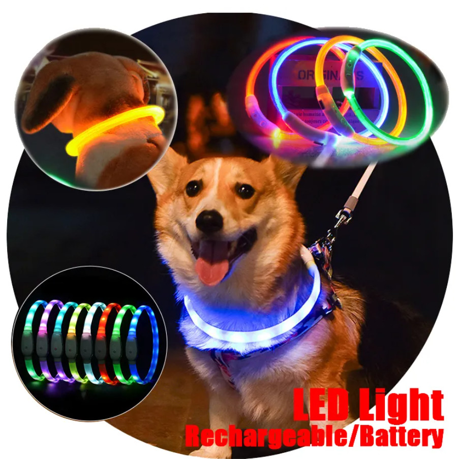Night Leather Dog Collars Rechargeable Waterproof Night Glow Dog Collar