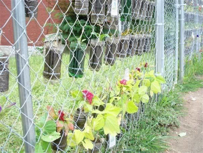 2mm 6 Feet Galvanized Chain Link Fence Rolls Farm Mesh