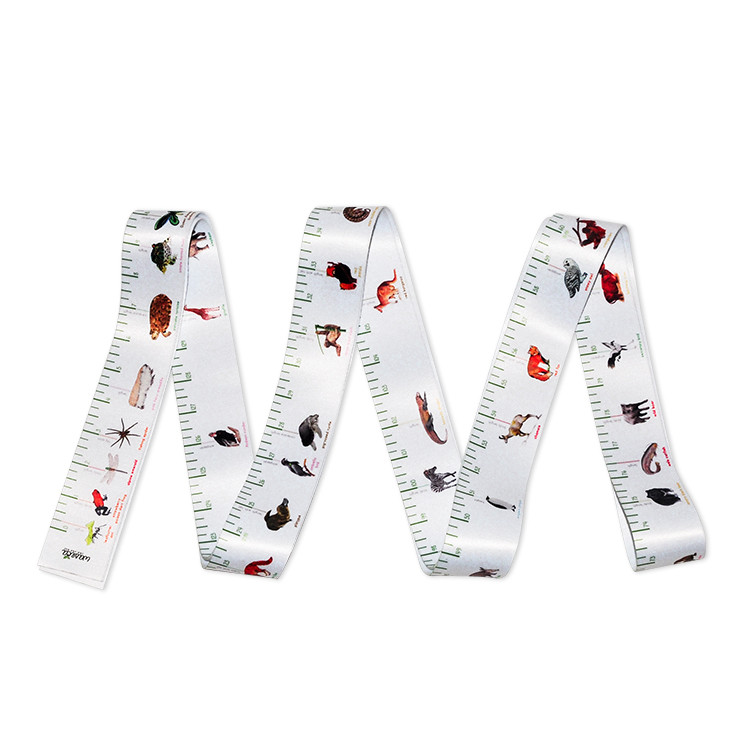 Wintape Extra Long Colorful Image Printing Surface Fabric Texture Nylon Fabric Measuring Tape Band