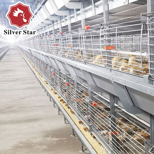 85*62.5*50 Cm Size Broiler Chicken Cage H Type