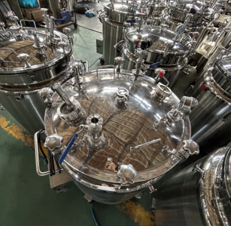 Mirror Polishing Softgel Medicine Storage Tanks 50-600L Cylindrical Shape