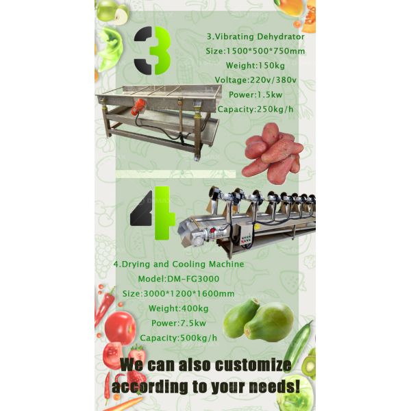Full-automatic Vegetable Fruit Washing and Drying Machine for Cleaning Processing Line