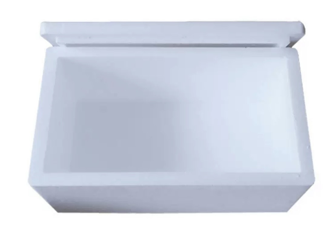 Heat Preservation Cold Chain Transport Foam Box EPS EPP Material Size Density Customized