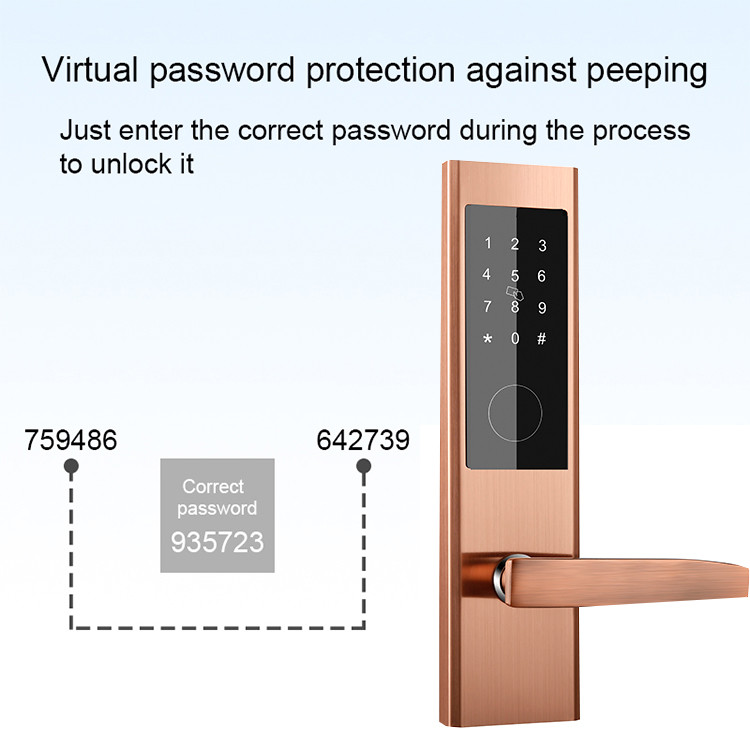 M1 Password Door Locks 300mm Automatic Door Lock For Apartment