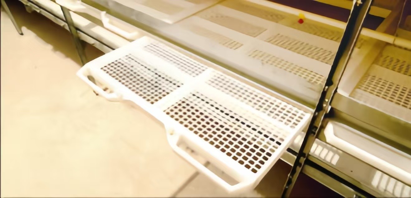 Poultry Farm House Broiler Chicken Cage H Type A Type Corrosion Resistant