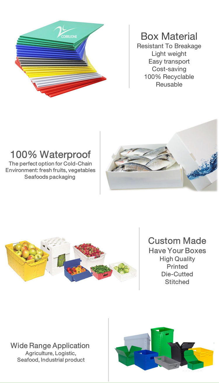 Customizable Vegetable Corrugated Boxes for Safe and Transportation