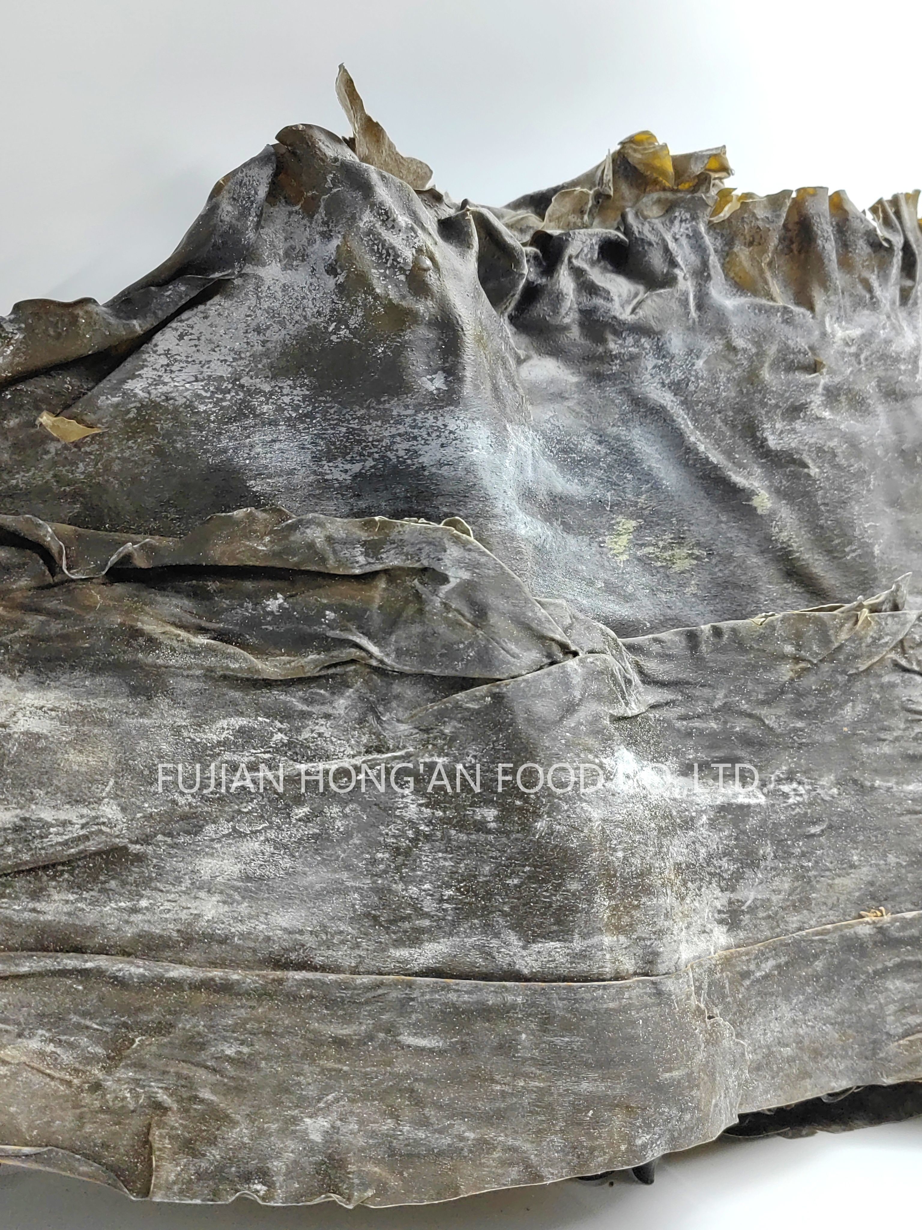 Tasty Green Dehydrated kombu Kelp A Superfood For Salads Dashi Soups
