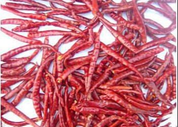 Wholesale High Quality Dry Jinta Chilli Puya Jinta Chili Red Chilli Jinta  Guajillo chilli