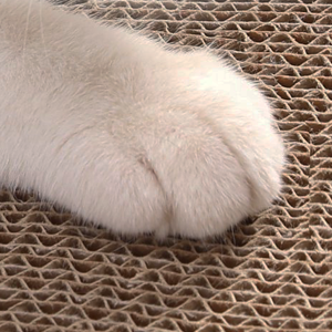 Customized Christmas Cat Playhouse with Scratcher Eco-Friendly Corrugated Paper Indoor Cat House for Pets & Dogs