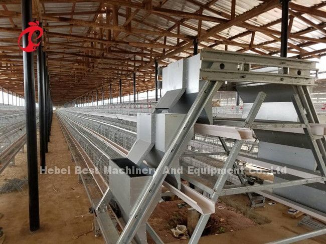 96 120 128 160 Birds 3 Tier And 4 Tier Layer Battery Cage System For Sale In Lagos Nigeria Sandy