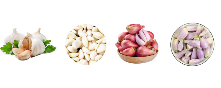 Dry Electric Garlic And Ginger Peeling Machine 30kg/H