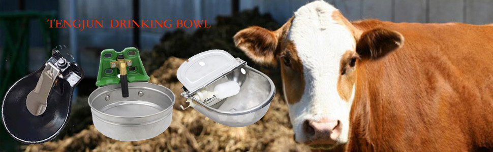 Powder Coated Cast Iron Livestock Water Bowls Drinker For Cattle Horse Sheep