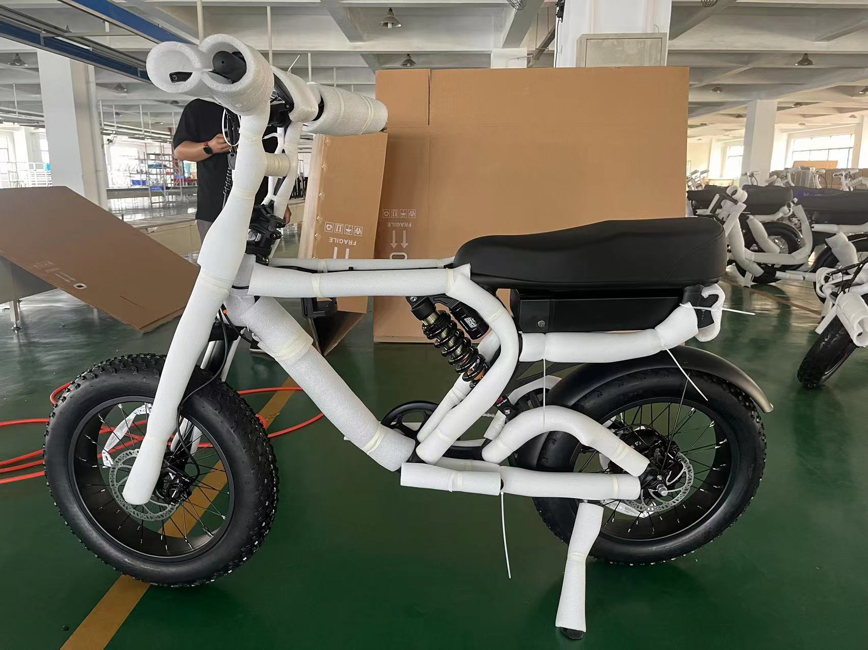 20inch Tire Electric Dirt Bike 1000w with Up Tube Battery Position and LCD Display