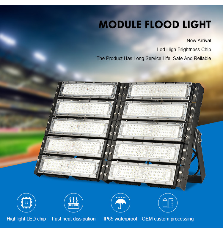 10000lm 500W Backyard Outdoor Flood Light Fixtures Customized