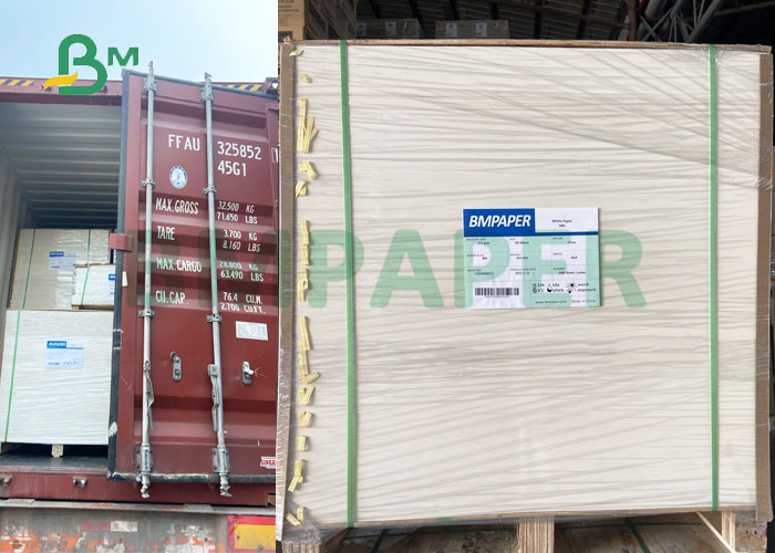 12PT 14PT Bleached White C1S Foldcoat Board For Garment Tags High Stiffness