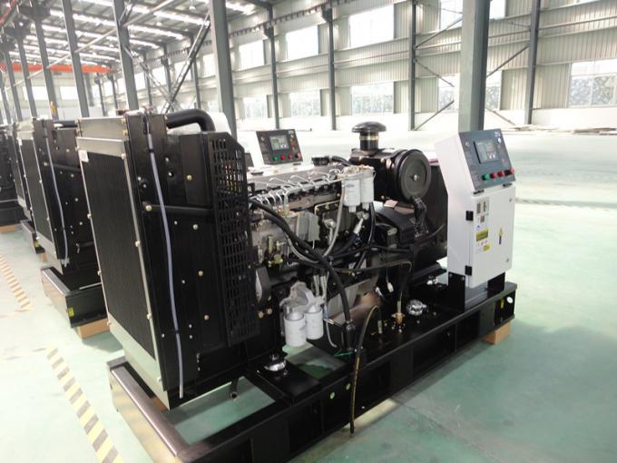Ultra Silent Canopy Deepsea Controller Lovol Generators 30kva 1003G Engine